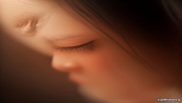Close-up of fresh volume eyelash extensions showing clean isolation